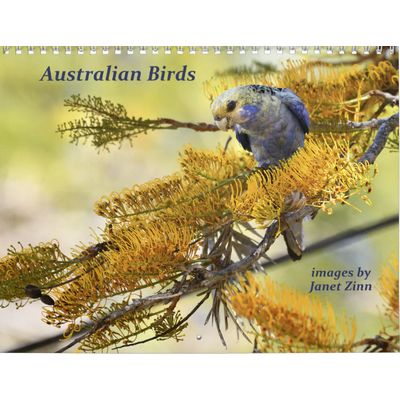 Australian Birds 2027 Calendar