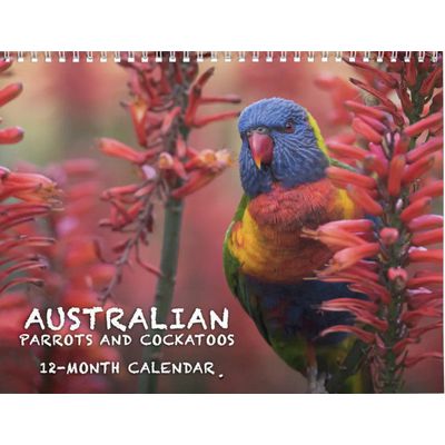 Australian Parrots & Cockatoos calendar