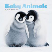 Baby Animals 2026 Calendar