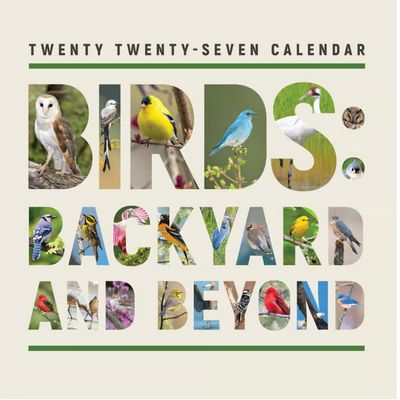 Birds Backyard and Beyond 2027 Wall Calendar