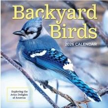 Backyard Birds 2026 Wall Calendar