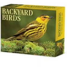 Backyard Birds 2026 Desk Calendar