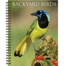 Backyard Birds 2026 Engagement Planner