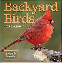 Backyard Birds 2026 Calendar