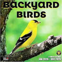 Backyard Birds 2026 Calendar