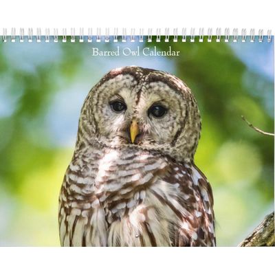 2027 Barred Owls | Mysteries of the Forest Calendar