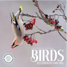 Birds Feathered Friends 2026 Wall Calendar