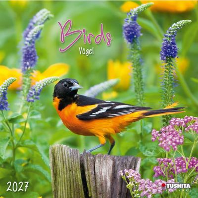 Birds 2027 Wall Calendar