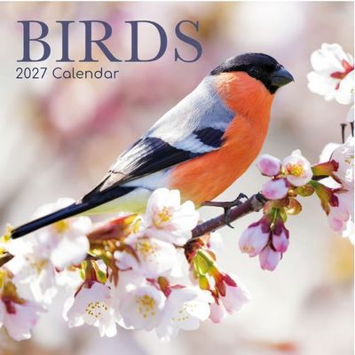 Birds 2027 Wall Calendar