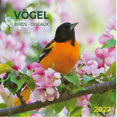 Birds 2027 Wall Calendar