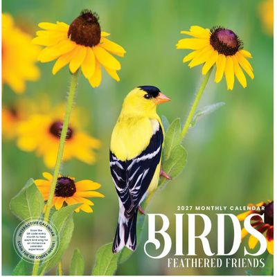 Birds Feathered Friends 2027 Wall Calendar