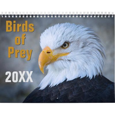 Birds of Prey Wall Calendar