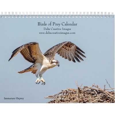 Birds of Prey Wall Calendar