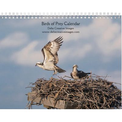 Birds of Prey 2027 Wall Calendar