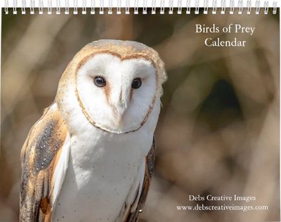 2027 Birds of Prey | North American Raptors Calendar