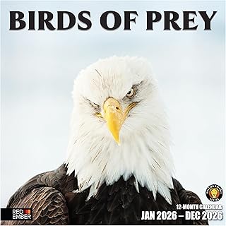Birds of Prey 2026 Wall Calendar