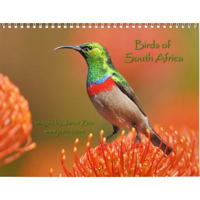 Birds of South Africa 2027 Calendar