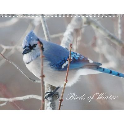 Birds of Winter 2027 Calendar