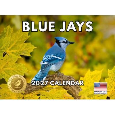 2027 Blue Jays Calendar