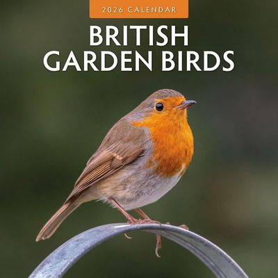 British Garden Birds 2026 Wall Calendar