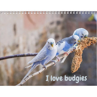 I Love Budgies 2027 Wall Calendar