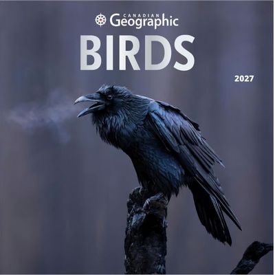 Birds 2027 Wall Calendar