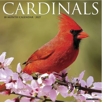 Cardinals 2027 Wall Calendar