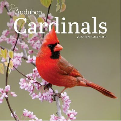 Cardinals 2027 Wall Calendar