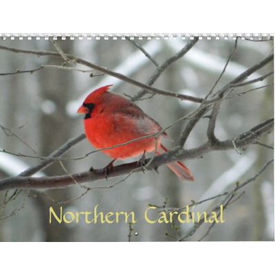 Northern Cardinal 2027 Calendar