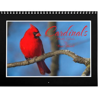 Cardinals 2027 Calendar
