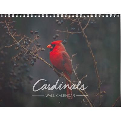 Cardinals 2027 Calendar