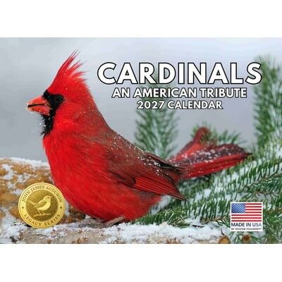 Backyard Birds 2027 Wall Calendar