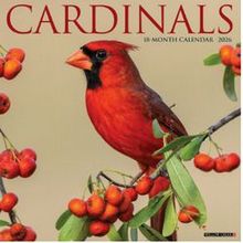 Cardinals 2026 Wall Calendar