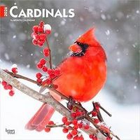 Cardinals 2026 Wall Calendar
