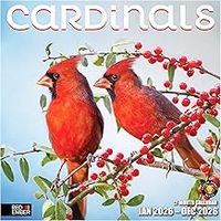 Cardinals 2026 Wall Calendar