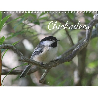 Chickadees 2027 Calendar