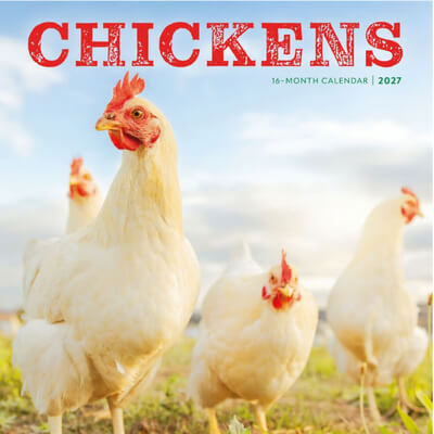 Chickens 2027 Wall Calendar