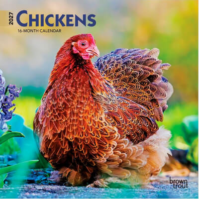 Chickens 2027 Mini Wall Calendar