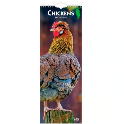 Chickens 2027 Slim Wall Calendar