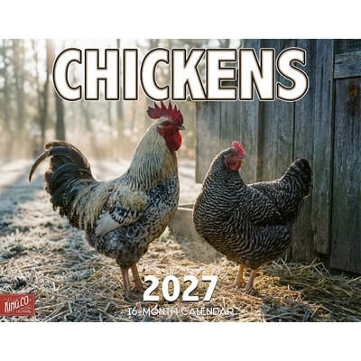 Chickens 2027 Wall Calendar