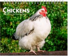 Chickens 2026 Desk Calendar