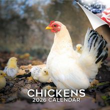 Chickens 2026 Wall Calendar