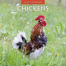 Chickens 2026 Wall Calendar