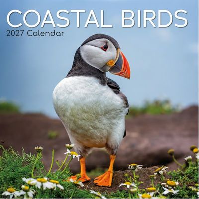 Coastal Birds 2027 Wall Calendar