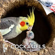 2026 Parrots Calendar