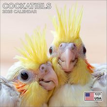 Cockatiels 2026 Calendar