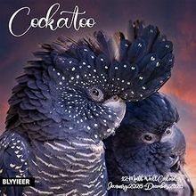 Cockatoo 2026 Calendar