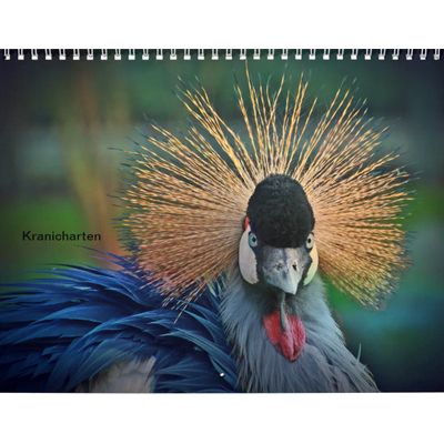 Cranes 2027 Calendar