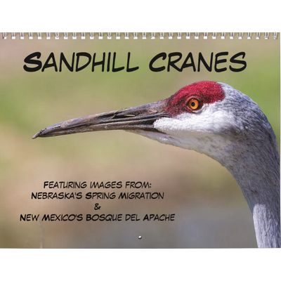 Sandhill Cranes 2027 Calendar