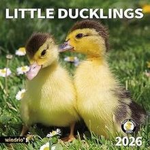 Little Ducklings 2026 Calendar
